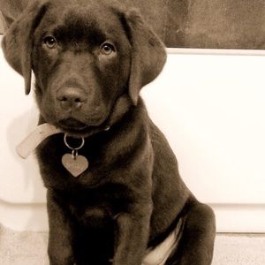 Meet your Posher, Monica